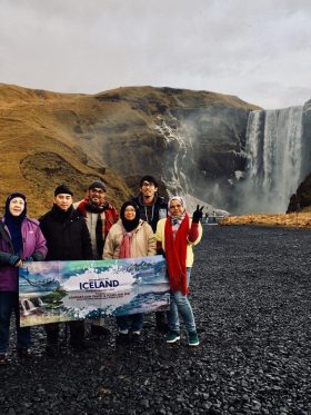 Mystical Iceland Aurora + Whale Hunting European Halal Tours