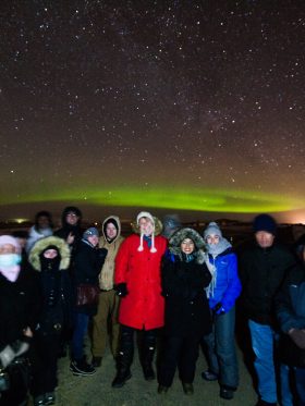 Mystical Iceland Aurora + Whale Hunting European Halal Tours