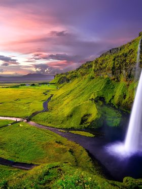 Mystical Iceland Aurora + Whale Hunting European Halal Tours
