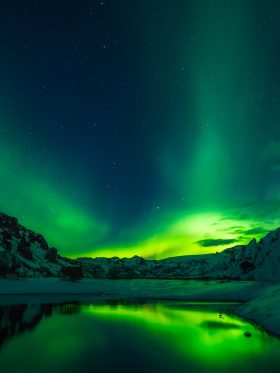 Mystical Iceland Aurora + Whale Hunting European Halal Tours