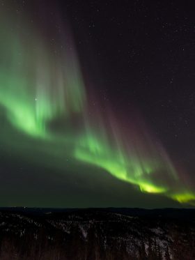 Mystical Iceland Aurora + Whale Hunting European Halal Tours