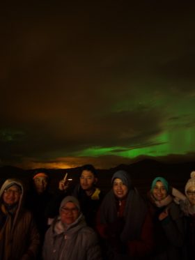 Mystical Iceland Aurora + Whale Hunting European Halal Tours