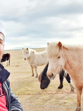 Mystical Iceland Aurora + Whale Hunting European Halal Tours