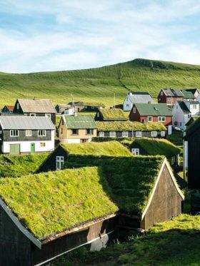 Mystical Iceland Aurora + Whale Hunting European Halal Tours