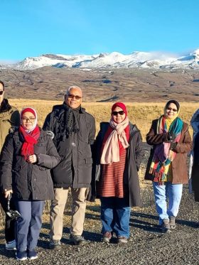 Mystical Iceland Aurora + Whale Hunting European Halal Tours