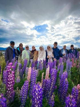 New Zealand North + South Island European Halal Tours
