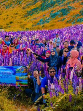 New Zealand North + South Island European Halal Tours