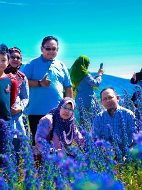 New Zealand North + South Island European Halal Tours