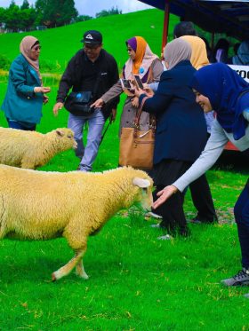 New Zealand North + South Island European Halal Tours