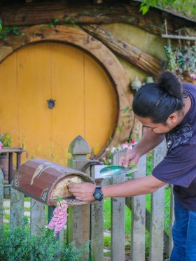 New Zealand North + South Island European Halal Tours