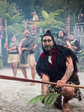 New Zealand North + South Island European Halal Tours