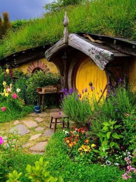 New Zealand North + South Island European Halal Tours