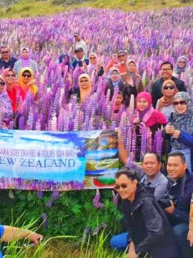 New Zealand North + South Island European Halal Tours