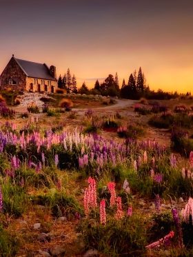 New Zealand North + South Island European Halal Tours